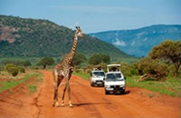 Taita-Taveta County is known for its wild-life, a major tourist attraction.